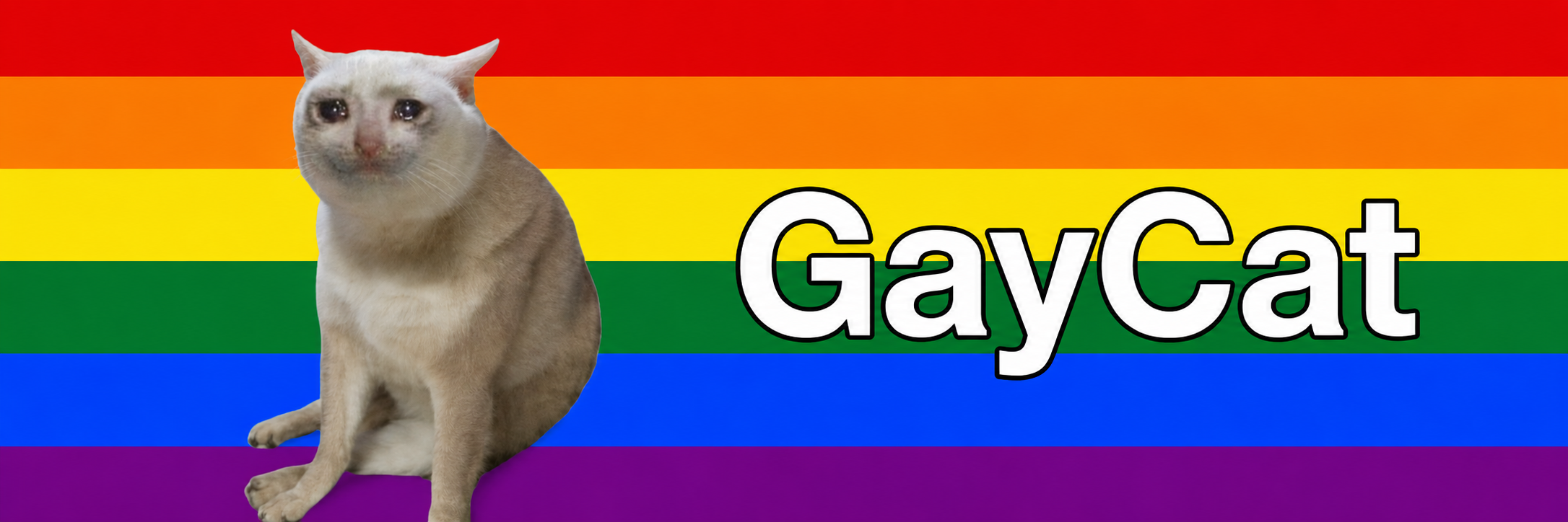 GayCat banner: crying cat on a rainbow flag